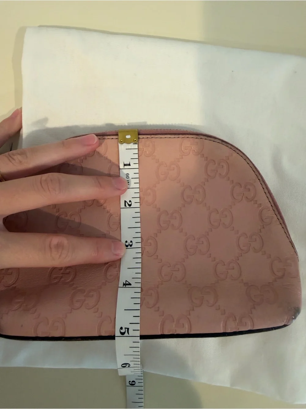 Gucci cosmetic pouch